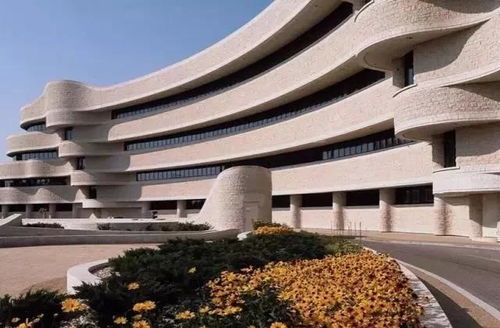 翻新不再难 软瓷让城市旧房散发新活力