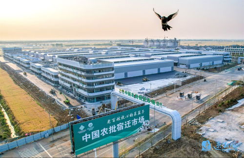 产业旺、村和美、同致富 宿迁集成推进乡村全面振兴的建筑工程实践