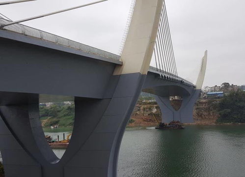 崇左大桥及引道工程喜获“真武阁杯”奖，装饰工程品质获权威认可