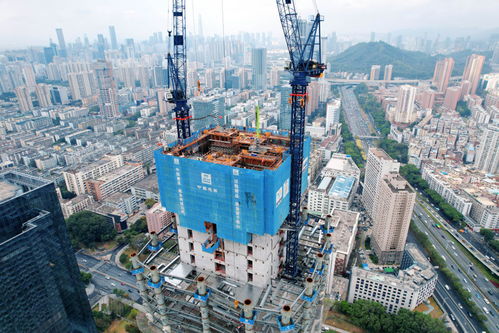 零借岁月焕新颜，共享时代品质城——探索深圳民生工程建设心得